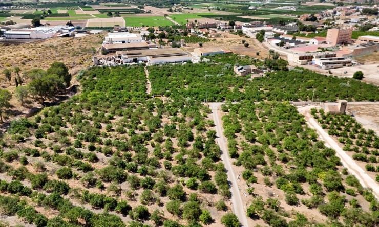 Reventa - Finca Country Property - Orihuela