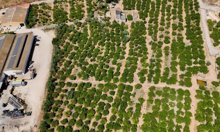 Reventa - Finca Country Property - Orihuela
