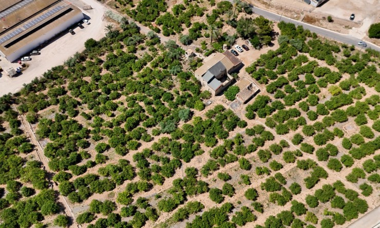 Reventa - Finca Country Property - Orihuela