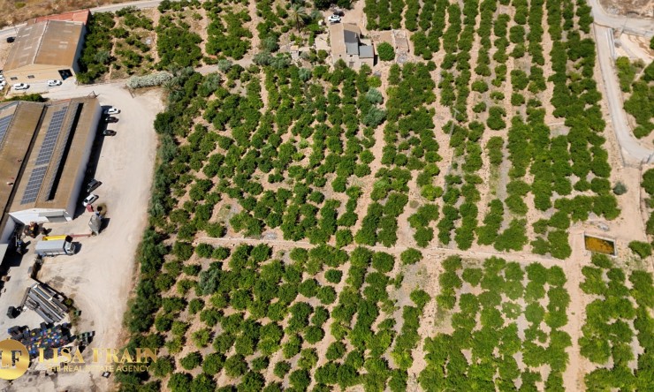 Reventa - Finca Country Property - Orihuela