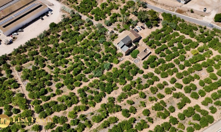 Reventa - Finca Country Property - Orihuela