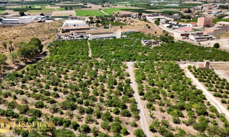 Reventa - Finca Country Property - Orihuela