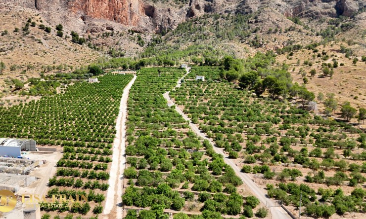 Reventa - Finca Country Property - Orihuela