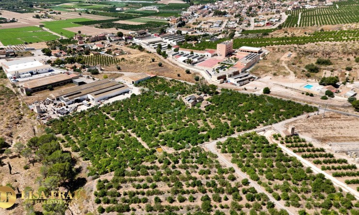 Reventa - Finca Country Property - Orihuela