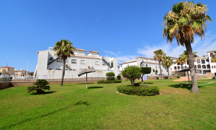Re-Sale - Apartment - Orihuela Costa - Playa Flamenca