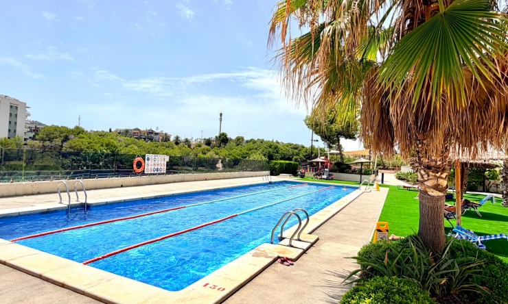 Re-Sale - Apartment - Orihuela Costa - La Zenia