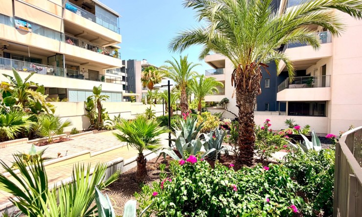 Re-Sale - Apartment - Orihuela Costa - La Zenia