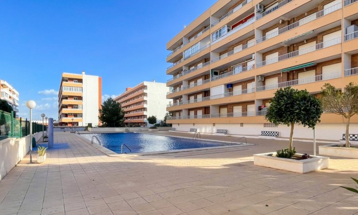 Reventa - Apartamento - Orihuela Costa - Punta Prima