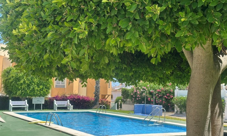 Videresalg - Leilighet - Torrevieja - Torre La Mata