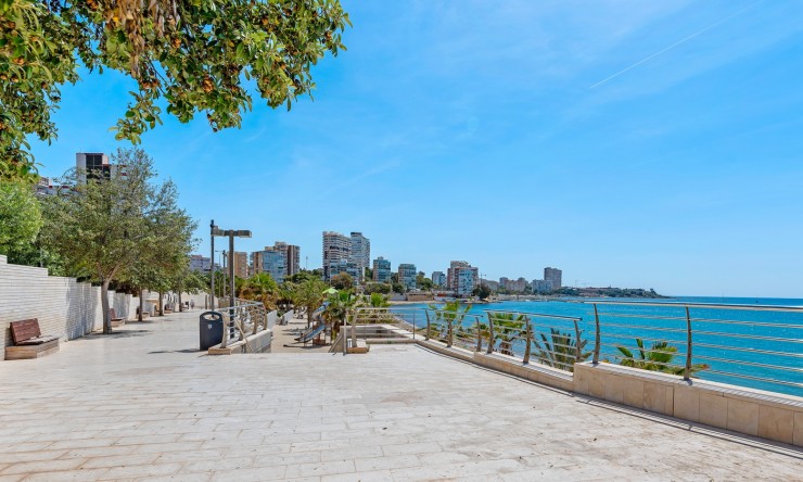 Reventa - Apartamento - Alicante - La Albufereta