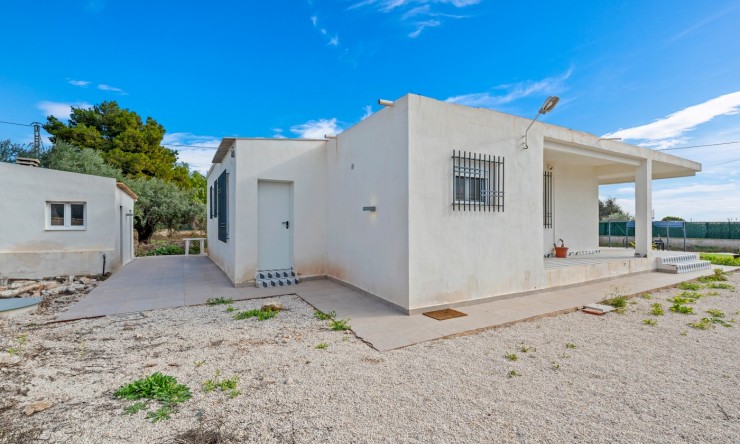 Reventa - Casa de Campo - Elche - Elche - Campo