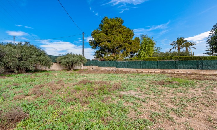 Reventa - Casa de Campo - Elche - Elche - Campo
