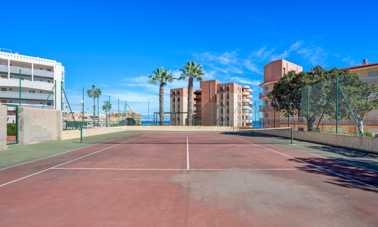 Re-Sale - Apartment - Arenales del Sol - Arenales del Sol - Town