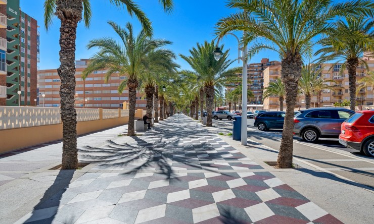 Re-Sale - Apartment - Arenales del Sol - Arenales del Sol - Town
