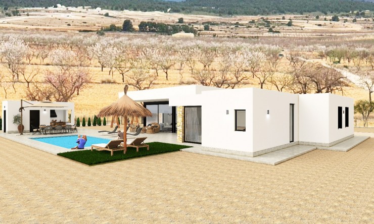 Nouveau - Villa - Pinoso - Pinoso - Domaine