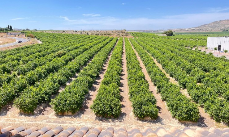 Reventa - Apartamento - Algorfa - Algorfa - Pueblo