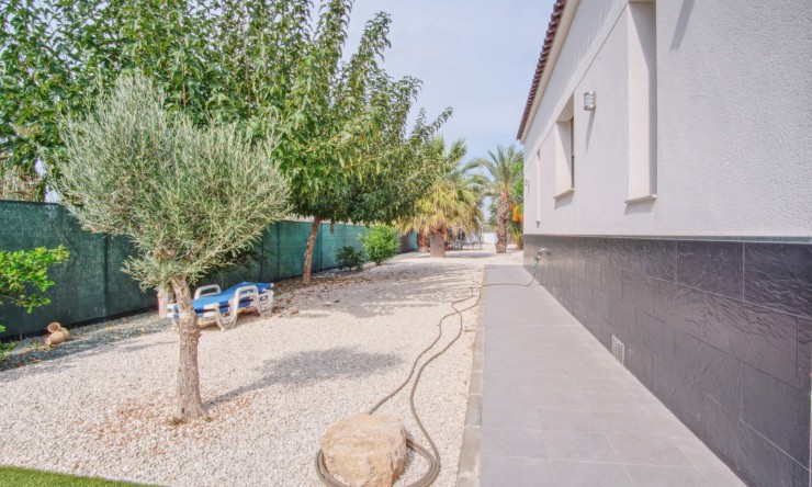 Comercial - Comercial (Pleno Dominio) - Dolores - Dolores - Campo