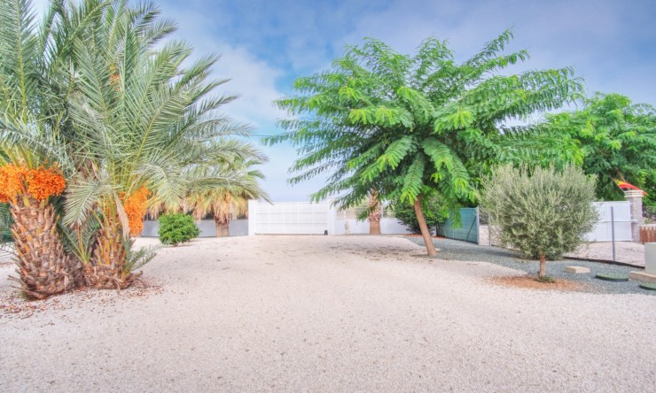 Comercial - Comercial (Pleno Dominio) - Dolores - Dolores - Campo