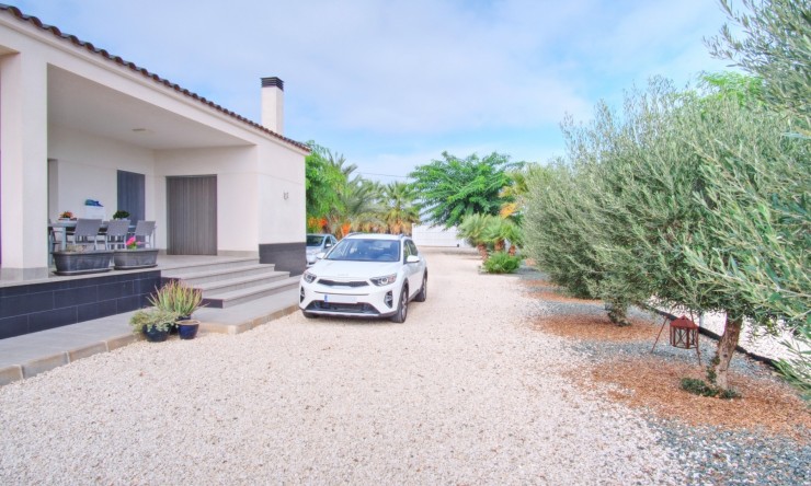 Comercial - Comercial (Pleno Dominio) - Dolores - Dolores - Campo
