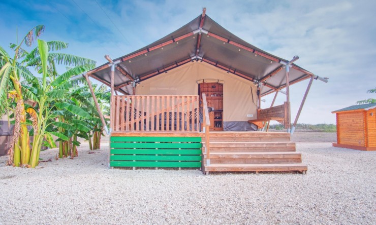 Comercial - Comercial (Pleno Dominio) - Dolores - Dolores - Campo