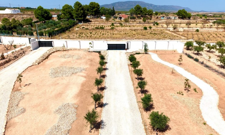 La Revente - Maison de Campagne - Pinoso - Pinoso - Domaine