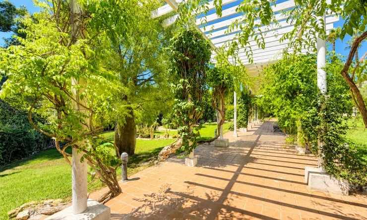 Reventa - Chalet - Orihuela Costa - Villamartin