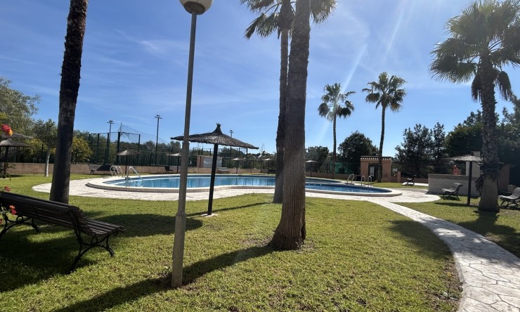 Re-Sale - Apartment - Orihuela Costa - Los Altos