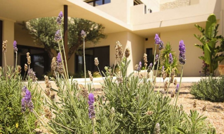 Nueva - Chalet - La Marina - La Escuera