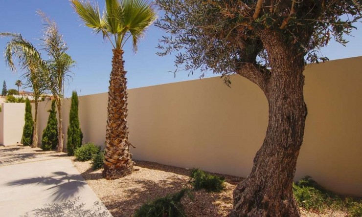 Nueva - Chalet - La Marina - La Escuera