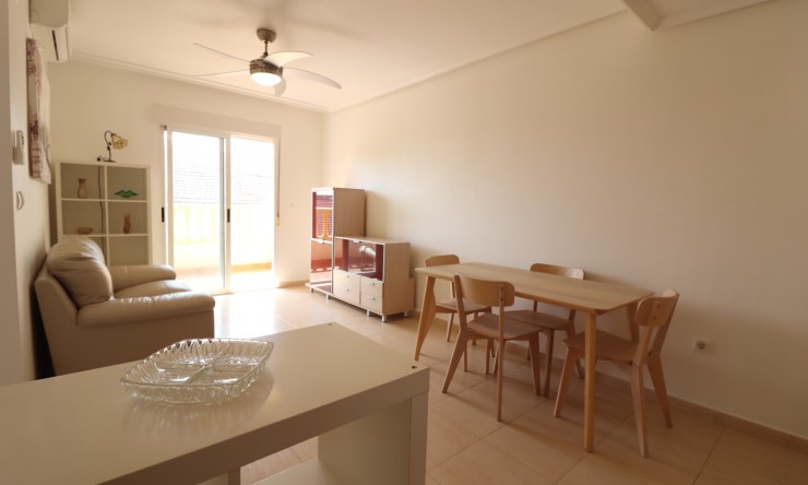 Rental - Apartment - Almoradi - Almoradi - Town