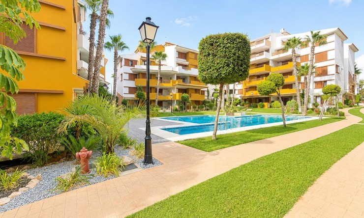 Reventa - Apartamento - Orihuela Costa - Punta Prima