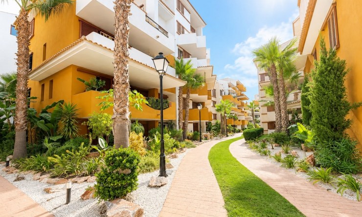 Reventa - Apartamento - Orihuela Costa - Punta Prima