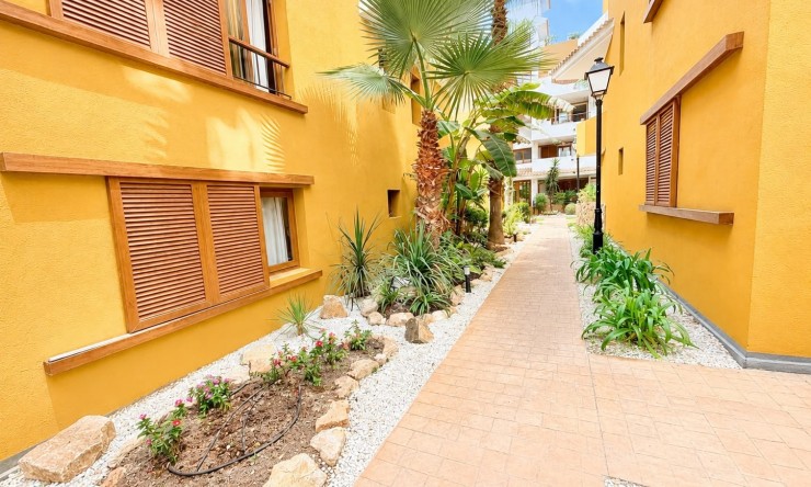 Reventa - Apartamento - Orihuela Costa - Punta Prima