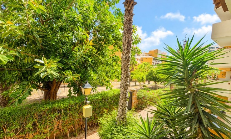 Reventa - Apartamento - Orihuela Costa - Punta Prima