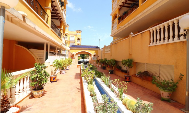 Re-Sale - Apartment - Algorfa - Algorfa - Village