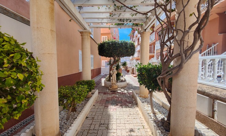 Re-Sale - Apartment - Torrevieja - Torre La Mata