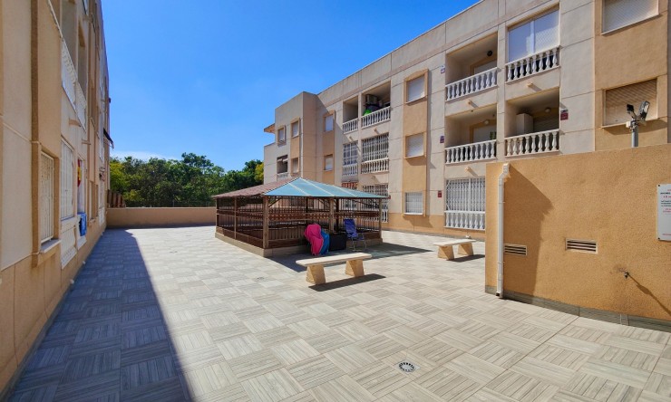 La Revente - Appartement - Torrevieja - Torrevieja - Centre
