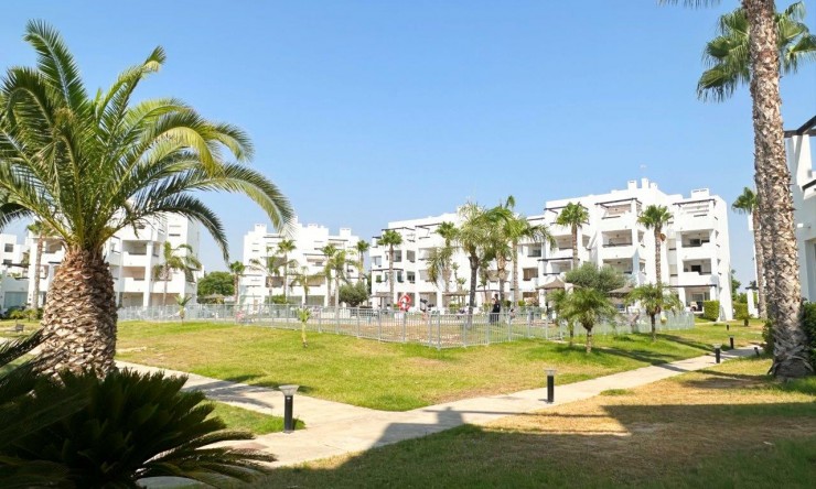 Re-Sale - Apartment - Las Terrazas de La Torre Golf Resort - Terrazas de la Torre Golf Resort