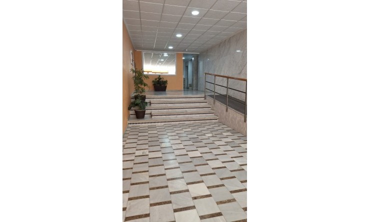 Re-Sale - Apartment - Torrevieja - Playa Acequion