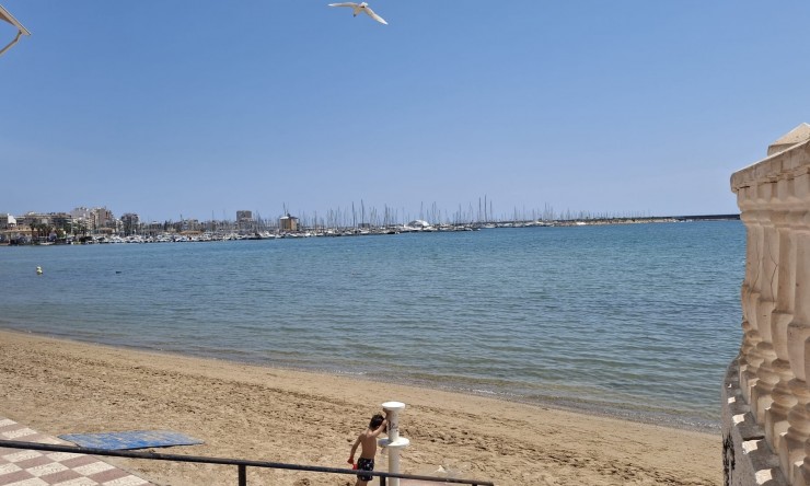 Re-Sale - Apartment - Torrevieja - Playa Acequion