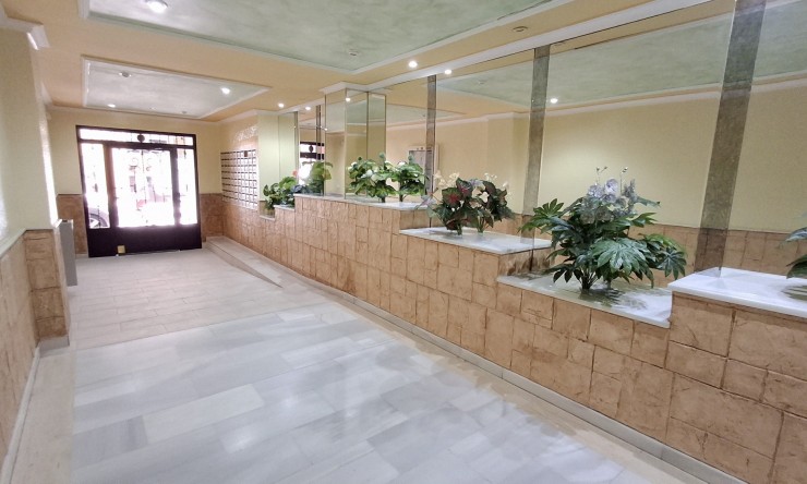 Videresalg - Leilighet - Torrevieja - Torrevieja - Centre