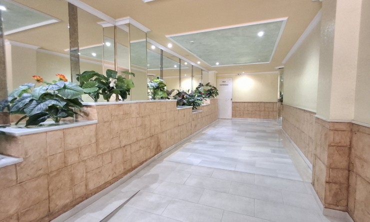 Videresalg - Leilighet - Torrevieja - Torrevieja - Centre