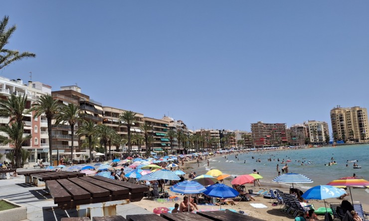Videresalg - Leilighet - Torrevieja - Torrevieja - Centre