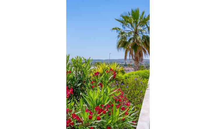 Re-Sale - Detached Villa - La Marina - La Marina - Urbanization