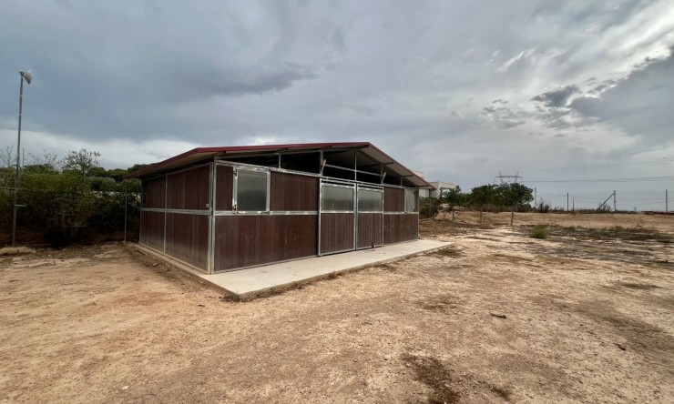 Re-Sale - Country Property - San Fulgencio - San Fulgencio - Country