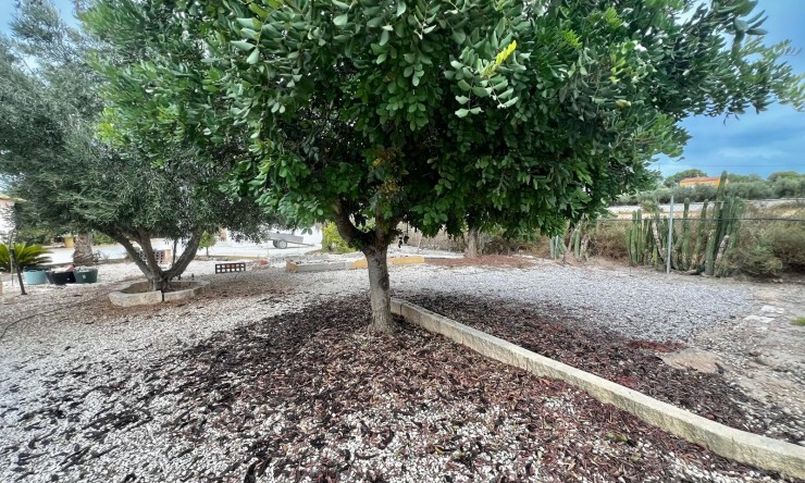 Re-Sale - Country Property - San Fulgencio - San Fulgencio - Country