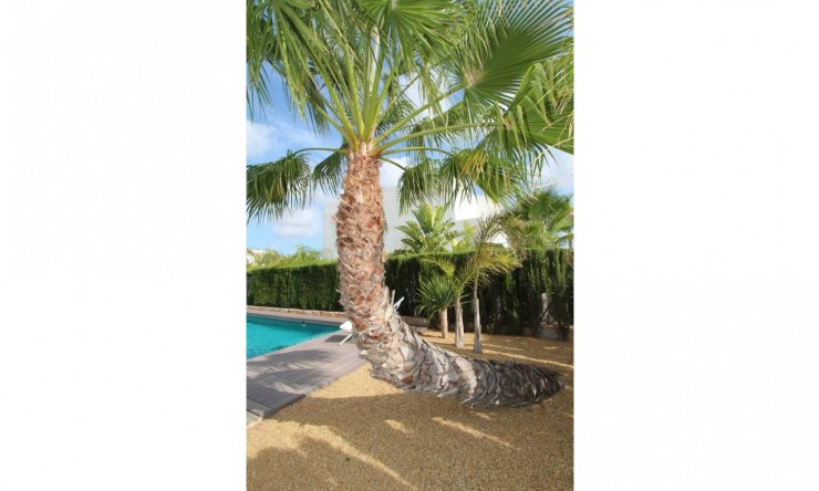 Re-Sale - Detached Villa - Rojales - Ciudad Quesada