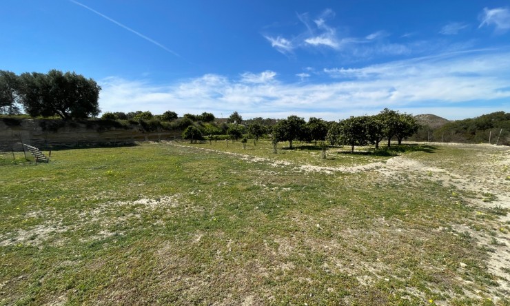 Wederverkoop - Landgoed - Rojales - Rojales - Veld