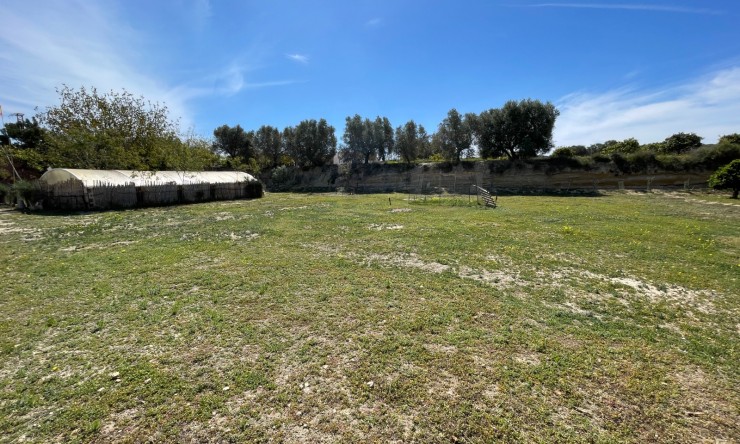 Wederverkoop - Landgoed - Rojales - Rojales - Veld