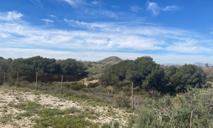Wederverkoop - Landgoed - Rojales - Rojales - Veld